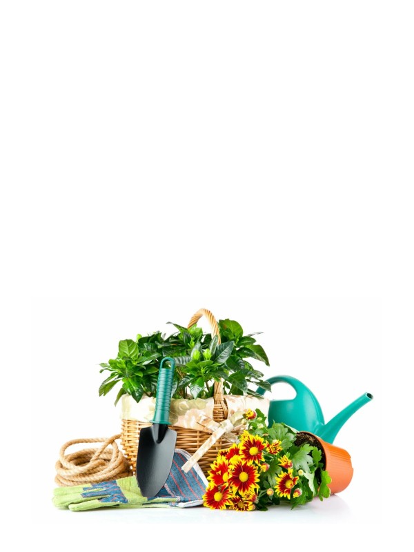 Сад, огород, дача, ремонт