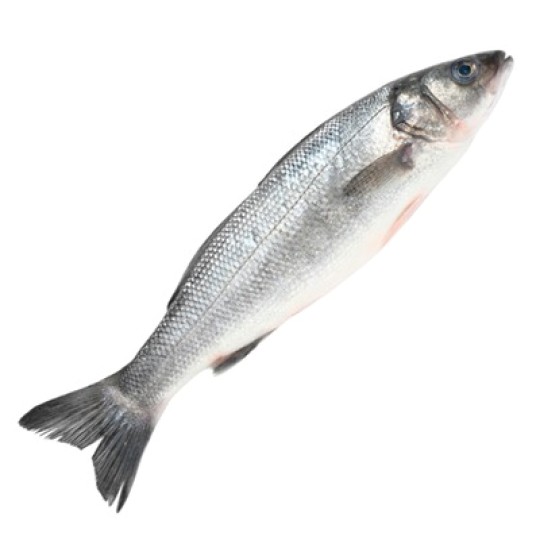 Сибас 600/800 охлаждённый непотрошённый Средиземное море кг