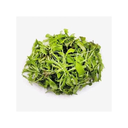 ЗЕЛЕНЬ GOGREEN NATURE PRODUCT САЛАТ ФРАНЦУЗСКИЙ 100ГР В/У