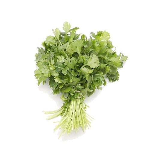 Зелень свежая Кинза, пучок, 100 гр  