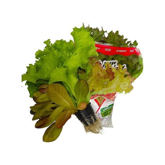 Салат Green Eco трио в горшочке 150 г