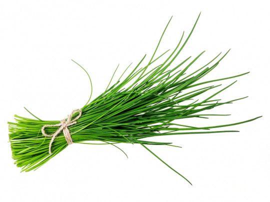 Лук-резанец 100Г