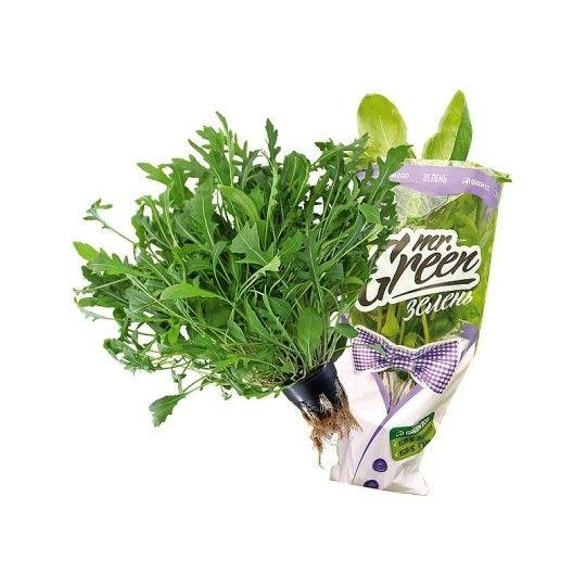 Салат руккола Green Eco зелень в горшочке 80 г