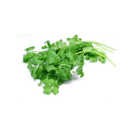 Кинза свежая