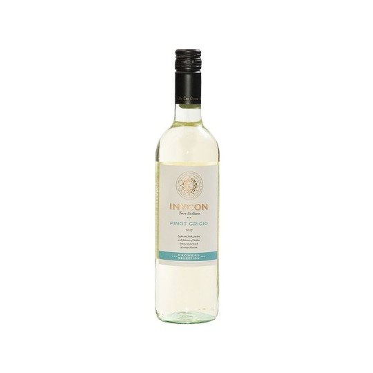 0,75Л ВИНО PINOT GRIGIO