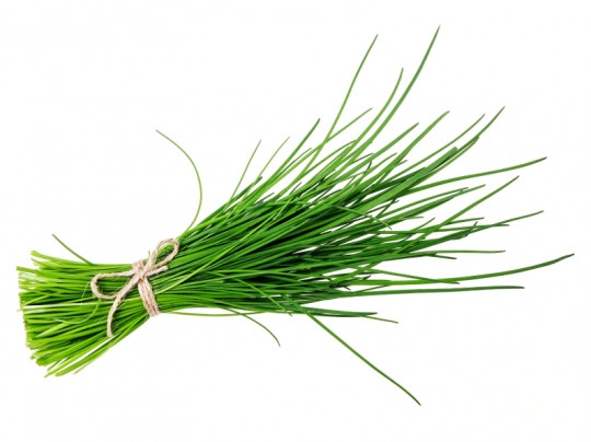 Лук-резанец 100Г