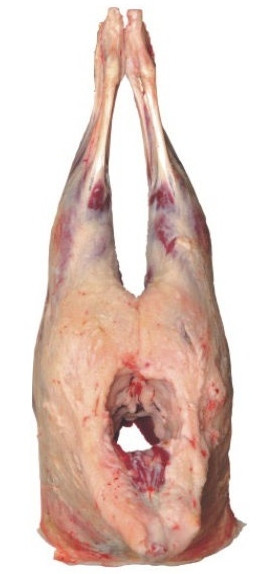 Баранина, задняя часть туши, охлажденная