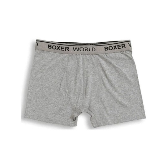 ТРУСЫ ORBIS МУЖСКИЕ СЕРЫЕ S 14100-4