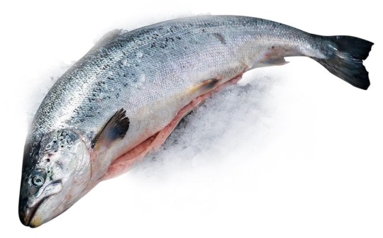 ЛОСОСЬ VICI ПОТРОШЕНЫЙ С/Г HOG SUP 6-7 ВЕС