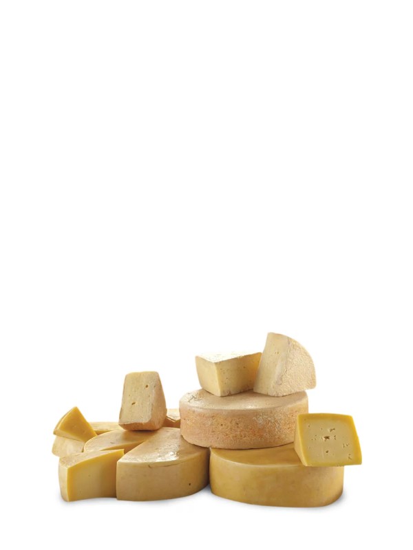 Твердые и полутвердые сыры