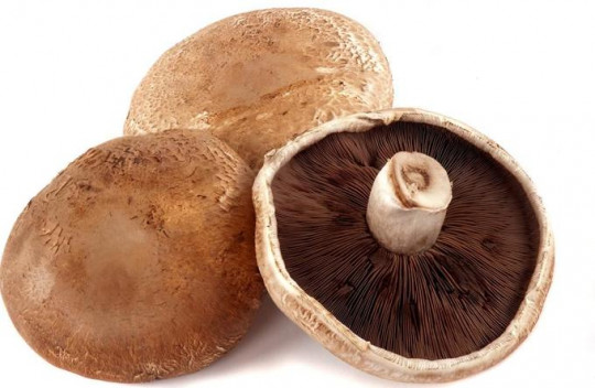 Грибы PORTОBELLO 150 г