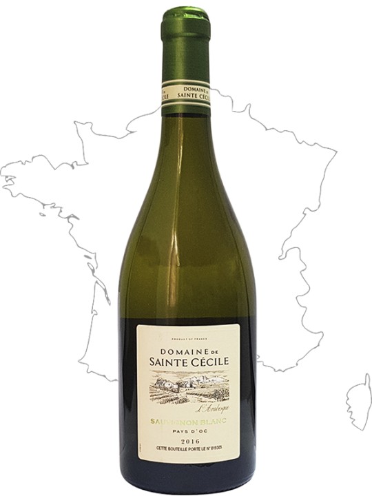 Domaine Sainte Cecile Совиньон Блан 2016 белое сухое вино 0.75л (Франция)