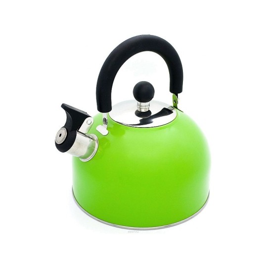 Чайник со свистком цветной,  2 л