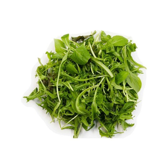 ЗЕЛЕНЬ GOGREEN NATURE PRODUCT САЛАТ ИТАЛЬЯНСКИЙ 100ГР В/У