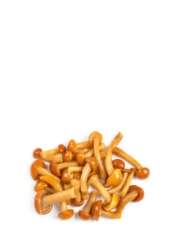 Консервы из грибов