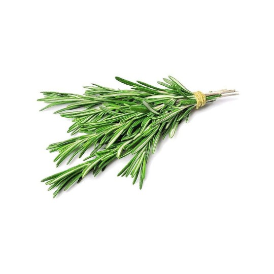 Розмарин свежий 50 гр.