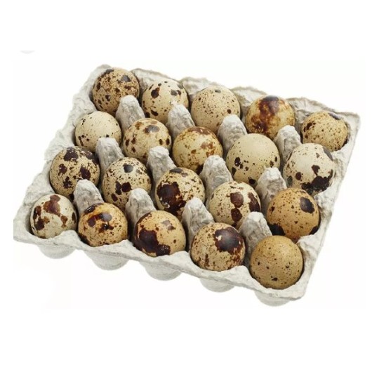 ЯЙЦО ПЕРЕПЕЛИНОЕ СЛАВЯНКА 20ШТ ПЛ/УП