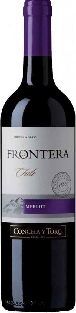 Вино красное сухое Раимбек Алко 0.75 л.