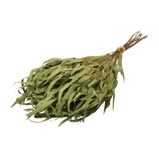 ВЕНИК ЭВКАЛИПТОВЫЙ HOT POT