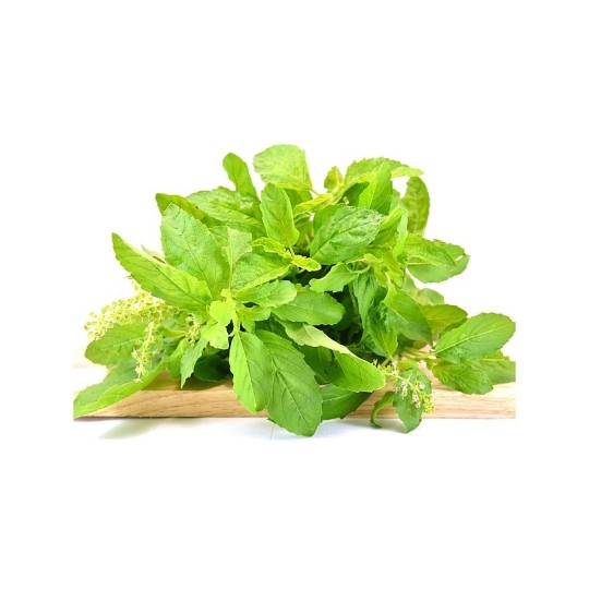 Базилик зеленый 100Г 