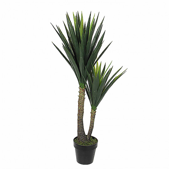 Пальма Юкка в горшке, 120 см.