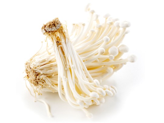 Грибы Еноки