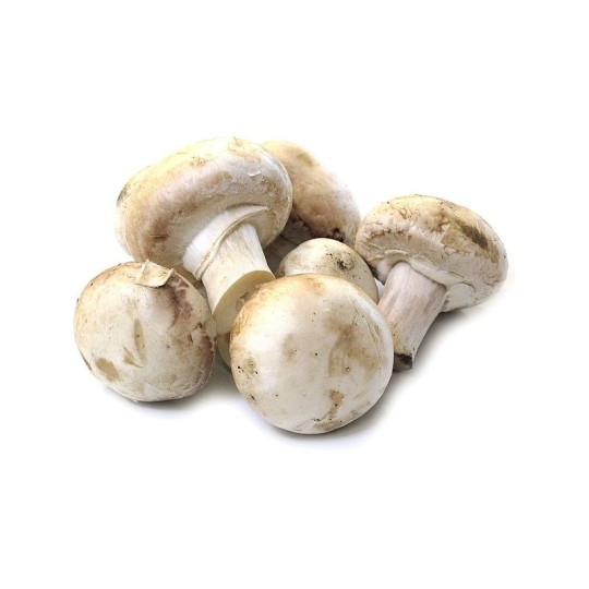 Грибы шампиньоны вес.