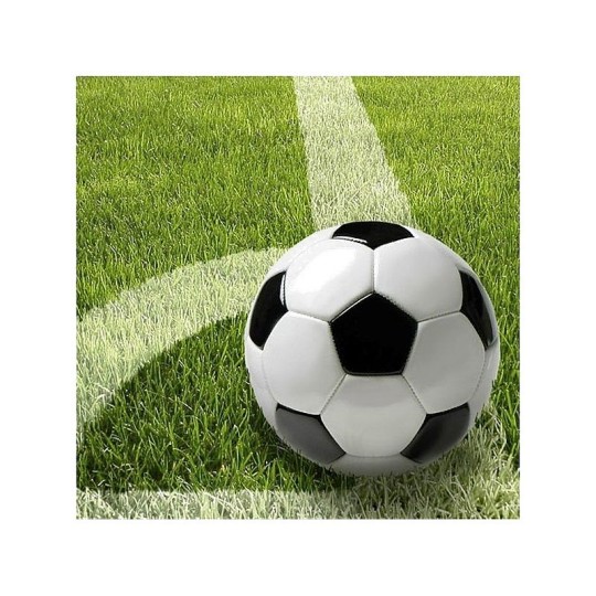P. САЛФЕТКИ FOOTBALL 33Х33 20ШТ