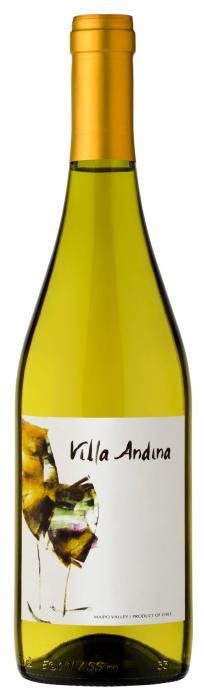  Вино Villa Andina Chardonnay Sauvignon blanc белое сухое 13.5% 0,75 л (Чили)
