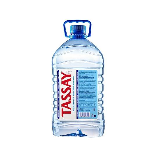 Вода питьевая Tassay негазированная 5,0 л.