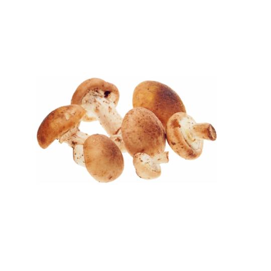 Грибы опята вес 