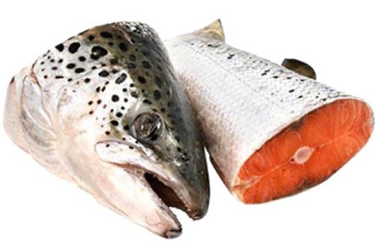 Набор суповой семга голова и хвост