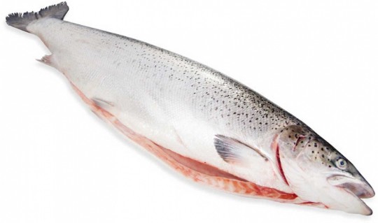 Лосось семга замороженный, кг.